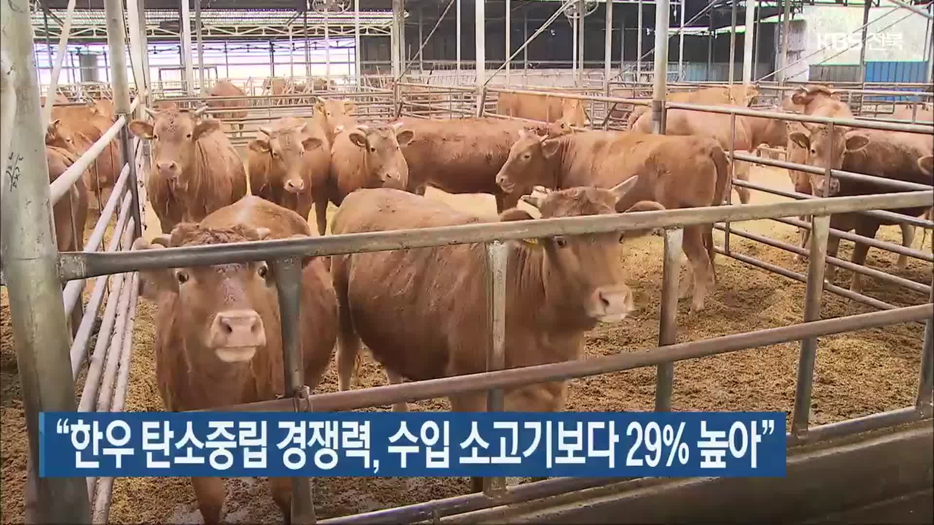 한우 탄소중립 경쟁력, 수입 소고기보다 29% 높아 대표이미지