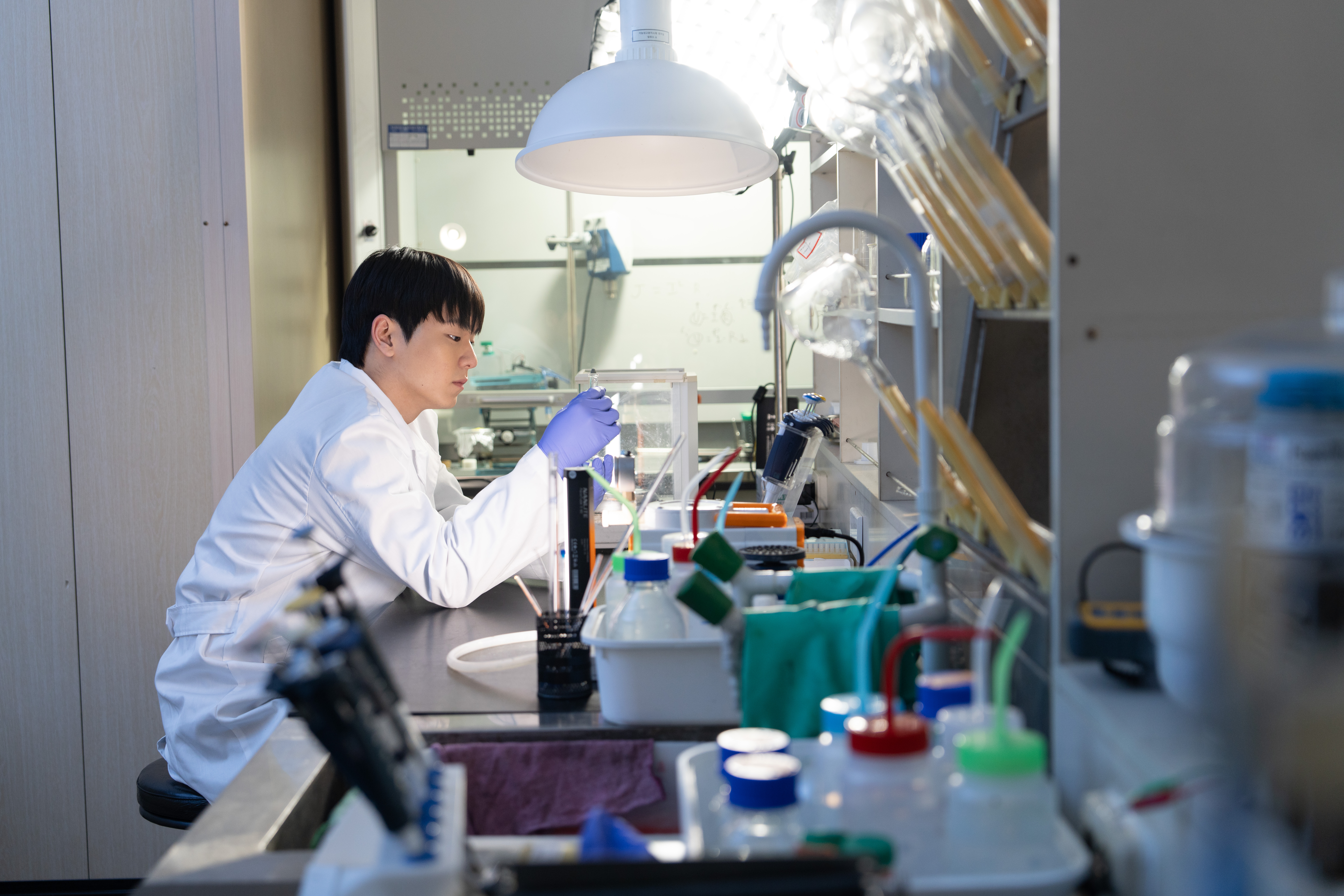 Animal Physiology 사진